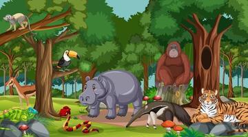 animais selvagens na floresta ou cenário de floresta tropical com muitas árvores vetor