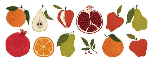 abstrato frutas definir. laranja, maçã, romã, e pera. saudável orgânico Comida. vetor frutas em uma branco fundo. desenhado à mão natural frutas para cartões, capas, tecido, embalagem projeto, e decoração.