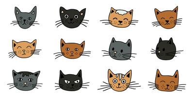 mão desenhado gato focinho clipart. fofa animal face rabisco conjunto vetor