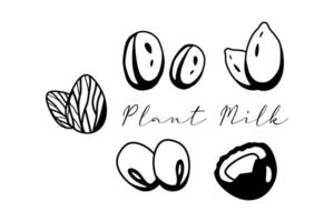 rabisco ouline plantar leite bandeira. diferente lactose livre leite vetor ilustração. alternativo leite variações ícone isolado em branco fundo.