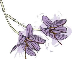 abstrato a açafrão flor com estigma em cor espalhar. vetor