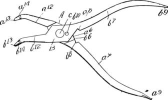 rápido firmeza alicate vintage ilustração. vetor