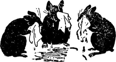 três cego ratos, vintage ilustração vetor
