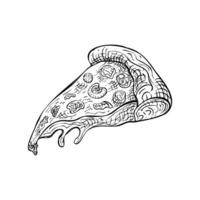 mão desenhado saboroso delicioso pizza fatia isolado em branco fundo vetor