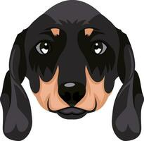 dachshund ilustração vetor em branco fundo