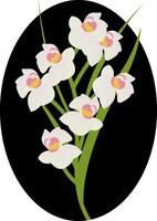 vetor ilustração do branco cymbidium orquídea flores com verde folhas dentro Preto círculo em branco fundo.