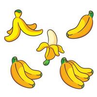 conjunto do banana desenho animado vetor ilustração. fruta e Comida conceito Projeto plano estilo. isolado branco fundo. grampo arte ícone Projeto coleção.