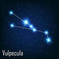 a constelação de vulpécula protagoniza no céu noturno. vetor