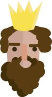 retrato do uma rei com bigode e barba e dourado coroa vetor ilustração em branco fundo