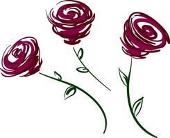 três vermelho rosas vetor ou cor ilustração