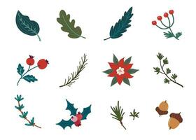 Natal florais coleção. festivo brilhante decorativo folhas, flores e galhos. mão desenhado moderno vetor isolado clipart