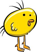 amarelo bebê frango, ilustração, vetor em branco fundo