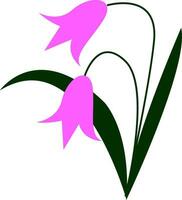 vetor de flores cor de rosa em forma de sino ou ilustração colorida