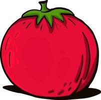 simples vermelho tomate, ilustração, vetor em branco fundo