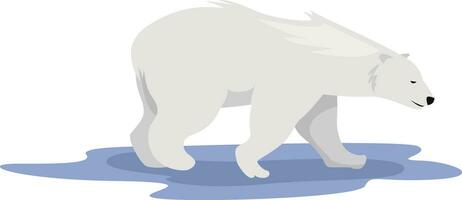 polar urso, ilustração, vetor em branco fundo