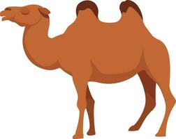 Castanho camelo, ilustração, vetor em branco fundo