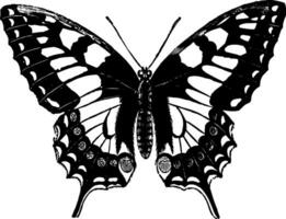 andorinha atado borboleta vintage ilustração. vetor