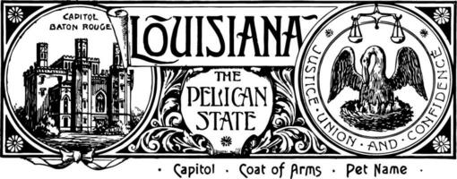 a Estado bandeira do louisiana a pelicano Estado vintage ilustração vetor