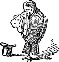 a morte e o enterro da ilustração vintage de robin vetor