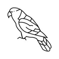 Preto limitado lory papagaio pássaro linha ícone vetor ilustração