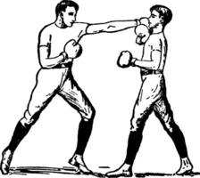 ilustração vintage de boxe. vetor