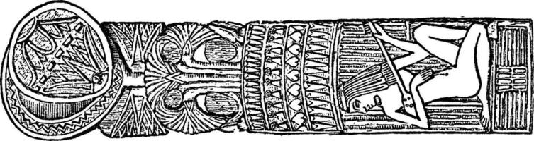 esculpido de madeira colher com cobrir é a egípcio padrão, vintage gravação. vetor