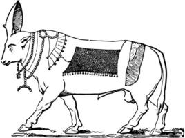 a touro apis vintage ilustração. vetor