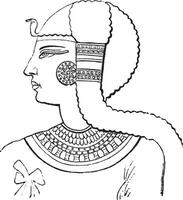 faraó, vintage ilustração vetor