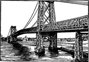 Williamsburg ponte, vintage ilustração. vetor