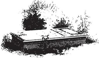 Ethan Allen túmulo, vintage ilustração vetor