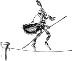 pulga justa para corda vintage ilustração vetor