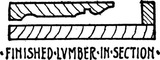 acabado madeira serrada dentro seção material símbolo relacionar para uma terminar material vintage gravação. vetor
