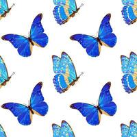 desatado padronizar com azul borboleta. tropical inseto. néon cores. vetor
