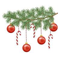 Natal decoração. uma Natal árvore ramo decorado com brinquedos, uma vermelho bola, uma doce bengala. vetor