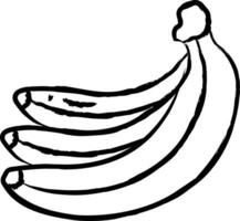 ilustração vetorial desenhada à mão de banana vetor