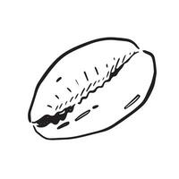 uma linha desenhado ilustração do uma búzio concha. Preto e branco mão desenhado esboço com sutil sombreamento. vetor