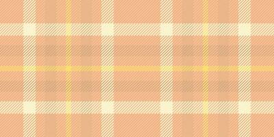 têxtil fundo textura do Verifica vetor xadrez com uma tecido tartan desatado padronizar.