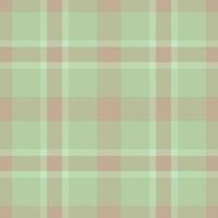 xadrez padronizar Verifica do desatado vetor tecido com uma tartan textura fundo têxtil.