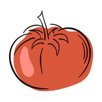 tomate linha desenho. plano ilustração do tomate vetor isolado em branco fundo.