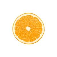 realista maduro laranja citrino fruta fatia ou metade vetor