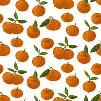 desatado tangerina padronizar com folhas. vetor fruta ornamento. a textura do citrino frutas, folhas, fruta é desenhado à mão. mandarim dentro diferente voltas e grupos. vetor Projeto do mandarim para impressão