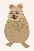 quokka. pequeno engraçado australiano selvagem animal. vetor isolado ilustração