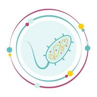 biologia procariota bactérias vetor ilustração gráfico ícone símbolo