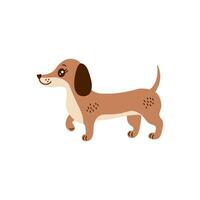 fofa dachshund vetor ilustração dentro desenho animado estilo