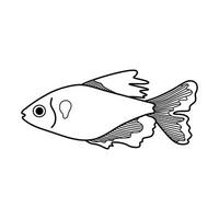 mão desenhado desenho animado vetor ilustração serpae tetra peixe ícone isolado em branco fundo