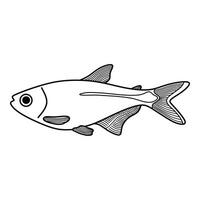 mão desenhado desenho animado vetor ilustração Buenos aires tetra peixe ícone isolado em branco fundo