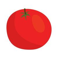 vetor saudável vermelho tomates gráfico ilustração