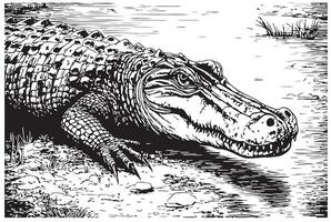 crocodilo dentro rio esboço mão desenhado dentro rabisco estilo vetor ilustração