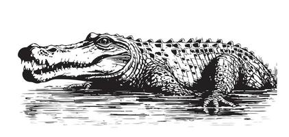 crocodilo esboço mão desenhado dentro rabisco estilo vetor ilustração