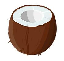 maduro cocos e metade coco em branco. coco drupa com metade seção. vetor ilustração dentro plano estilo